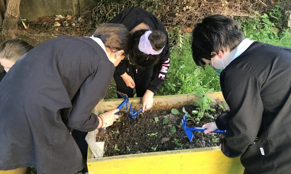 Orto in classe, è tornata l’iniziativa dedicata ai bambini