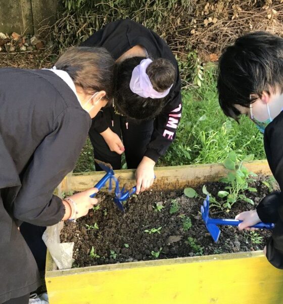 Orto in classe, è tornata l’iniziativa dedicata ai bambini